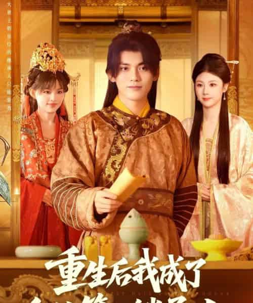 重生后我成了皇位第一继承人（142集全）林准＆城城（宋亚娟）-紫橙资源网