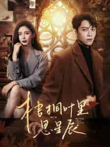 梧桐叶里思星辰(100集)-紫橙资源网