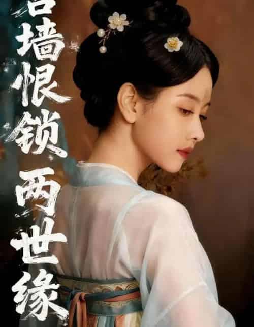 宫墙恨锁两世缘(47集全)Ai-紫橙资源网