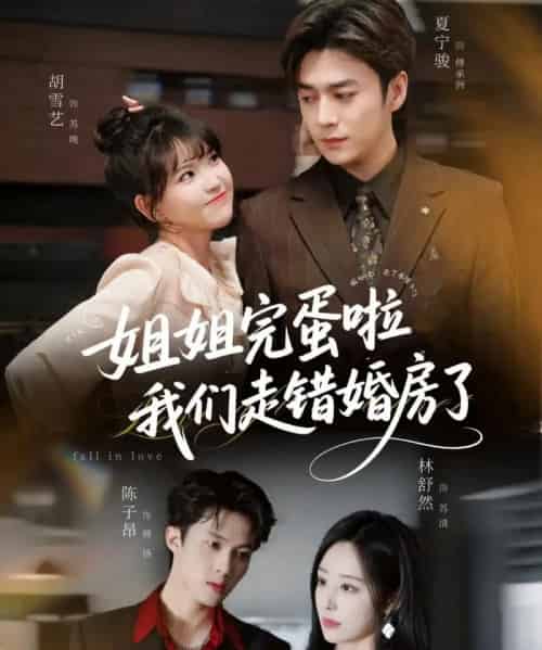 姐姐完蛋啦我们走错婚房了（97集全）夏宁骏＆胡雪艺-紫橙资源网