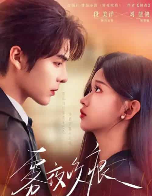 雾夜咬痕（74集全）段美洋＆刘蓝鸽-紫橙资源网