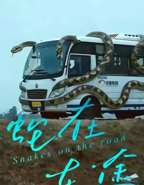 蛇在车途（34集全）何子茜＆熊月良-紫橙资源网