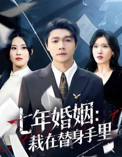 七年婚姻：栽在替身手里（80集全）叶子龙＆张清妍-紫橙资源网