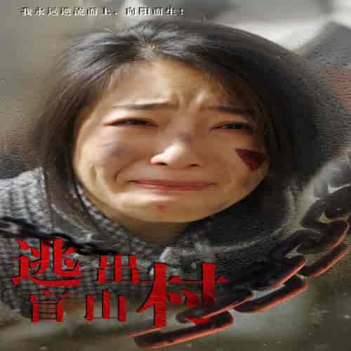 逃出盲山村(48集全)-紫橙资源网