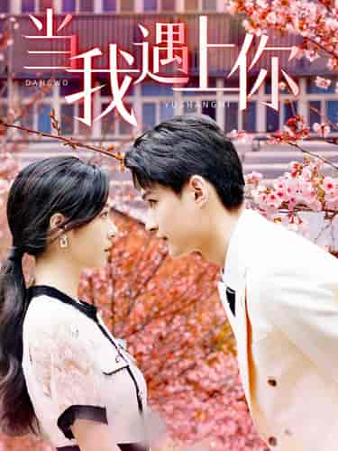 当我遇上你(100集)-紫橙资源网