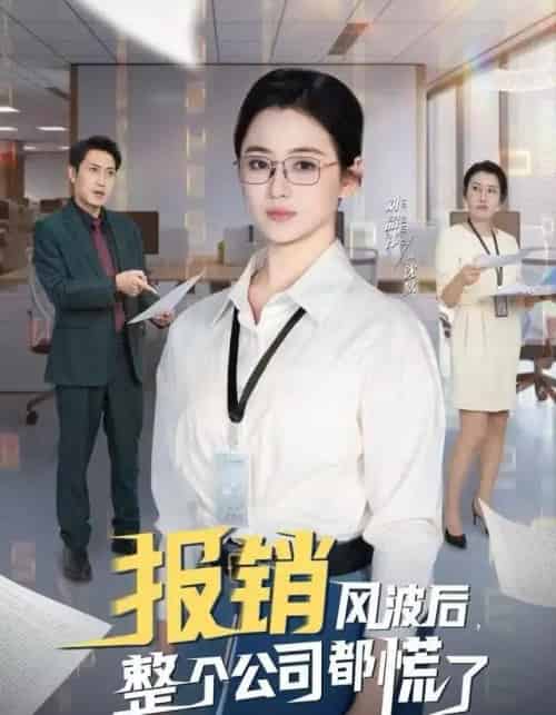 报销风波后，整个公司都慌了（60集全）刘韶袆＆刘晓兵-紫橙资源网