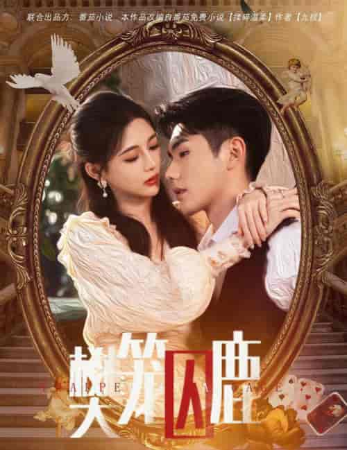 樊笼囚鹿＆偏执大佬的金丝雀（60集全）-紫橙资源网