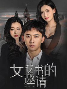 女秘书的邀请（30集全）王星辰-紫橙资源网