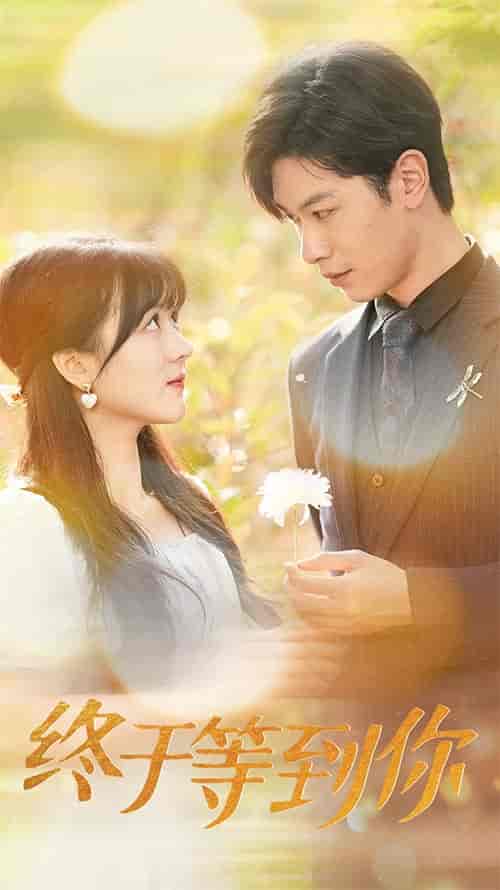 终于等到你＆你是我的木槿年华（80集）-紫橙资源网