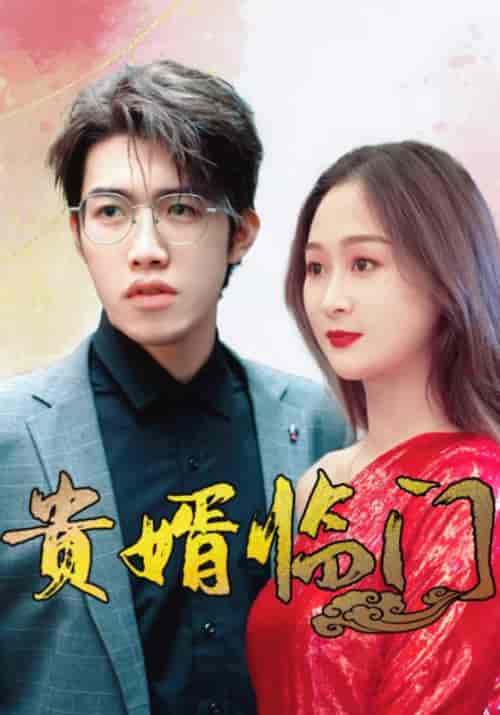 贵婿临门（104集全）张会＆林初夏-紫橙资源网