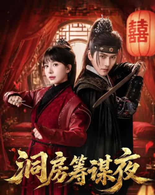洞房筹谋夜(50集全)袁在峤&蒋开鑫-紫橙资源网