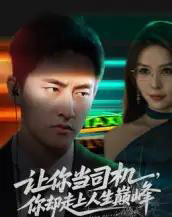 让你当司机，你却走上人生巅峰＆极品富婆爱上我（70集全）潘悦铭＆孙梦蝶-紫橙资源网