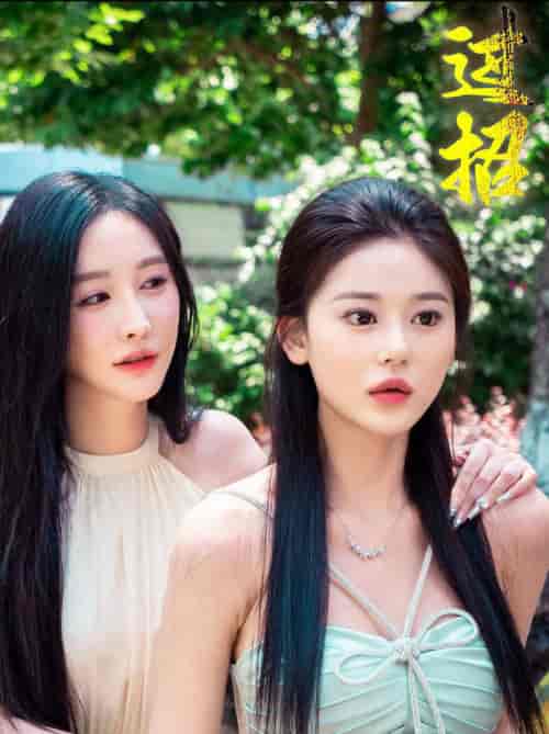 过招（40集全）-紫橙资源网