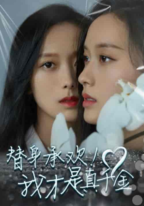 替身承欢！我才是真千金（40集全）陆轻舟＆苏锦-紫橙资源网