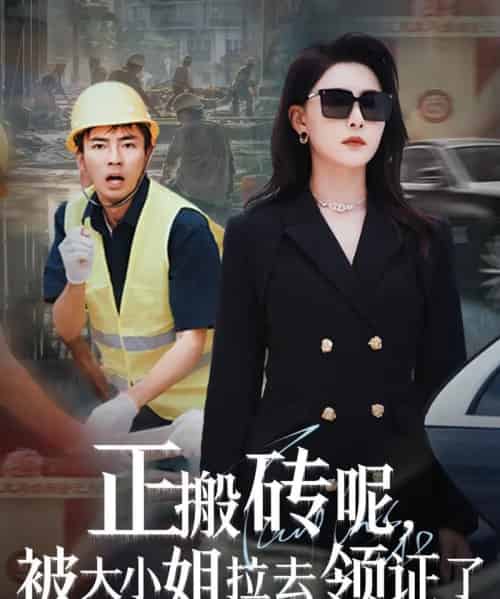 正搬砖呢,被大小姐拉去领证了(65集)许子吟&于宙童-紫橙资源网