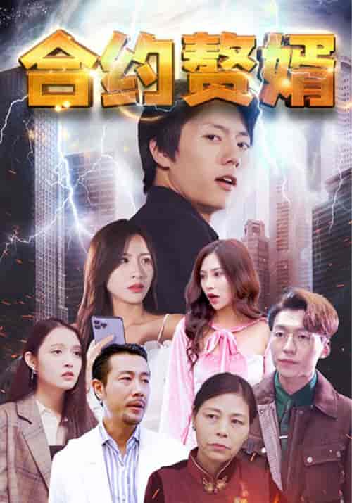 合约赘婿（80集全）李天麟＆楚雨欣-紫橙资源网