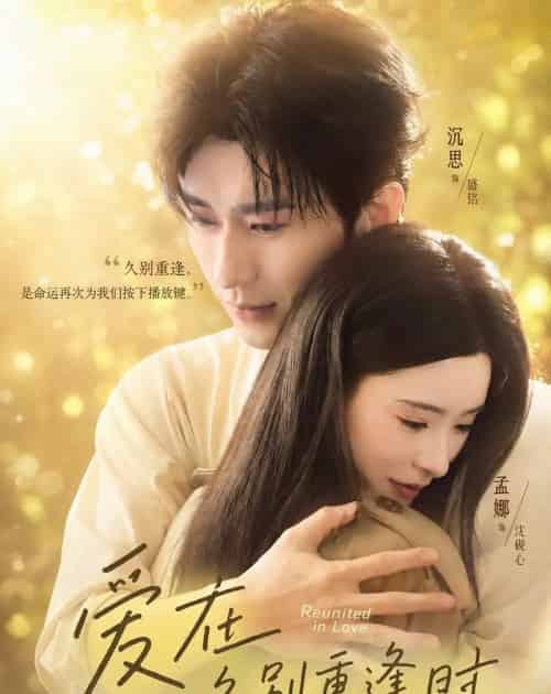 爱在久别重逢时（85集全）沉思＆孟娜-紫橙资源网
