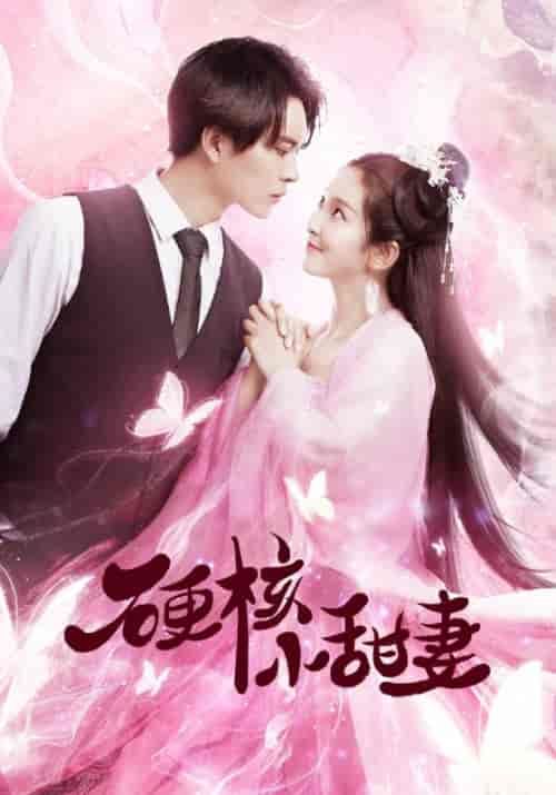 硬核小甜妻(18集全)叶辰&蝶澈-紫橙资源网