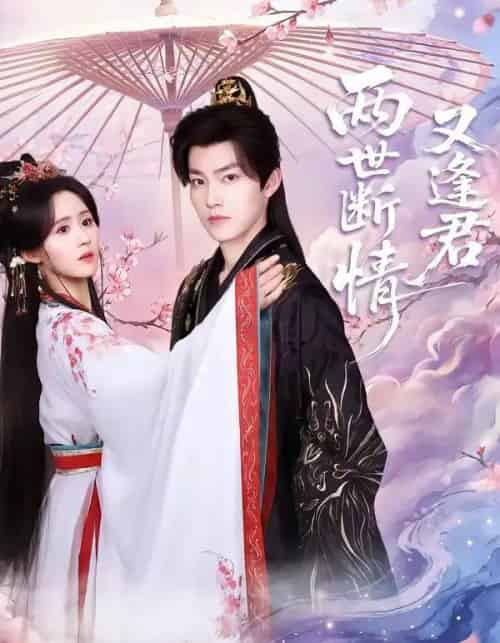 两世断情又逢君（71集全）周凌丰＆书雪漫-紫橙资源网