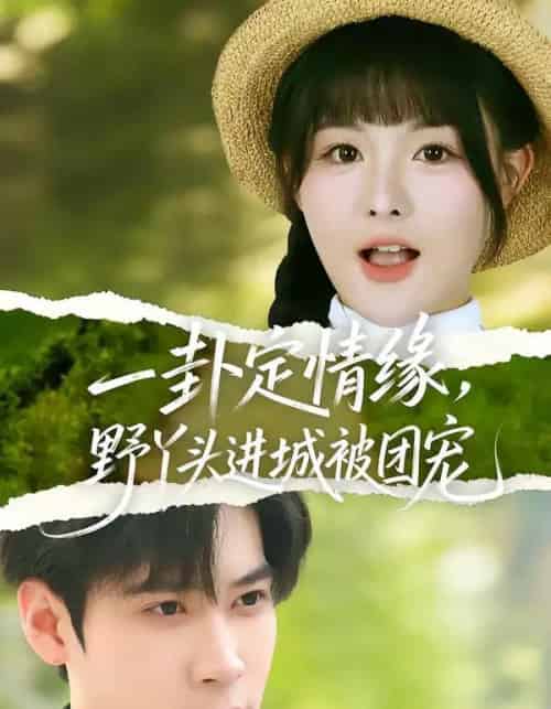 一卦定情缘，野丫头进城被团宠（61集全）胡金池＆杨晨（女）-紫橙资源网