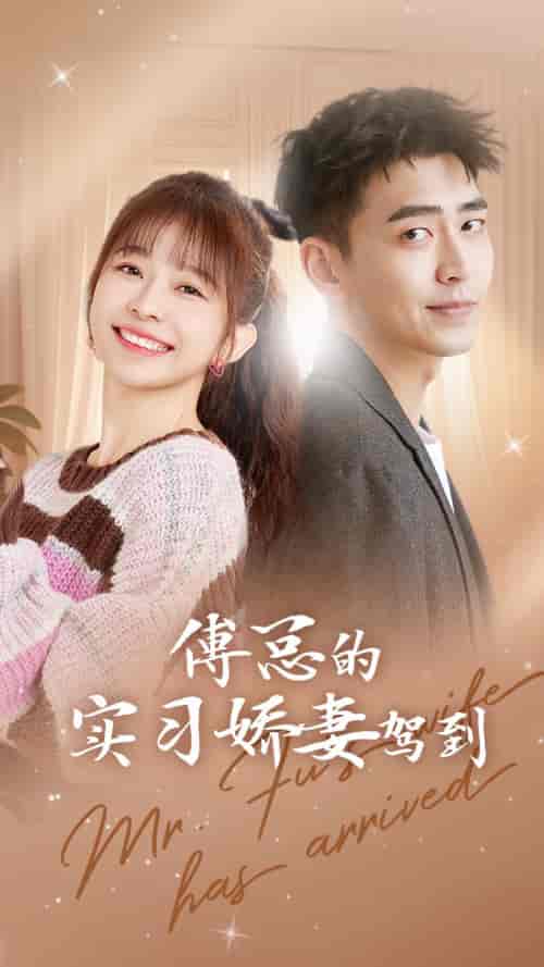 傅总的实习娇妻驾到（91集）-紫橙资源网