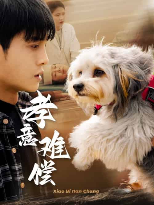 孝意难偿（32集全）-紫橙资源网