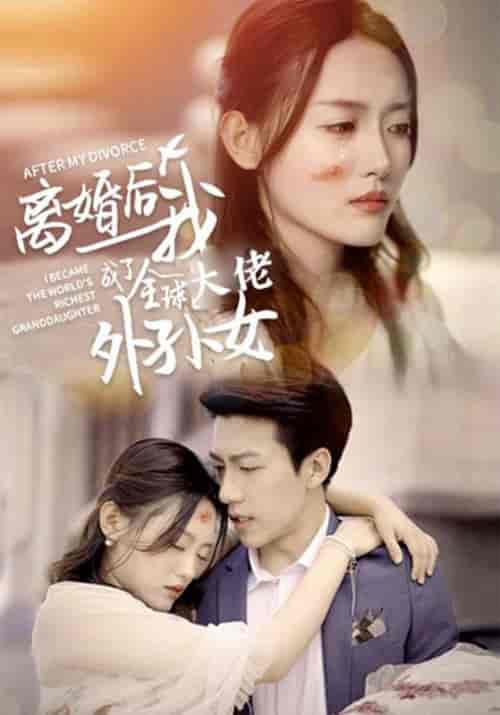 离婚后我成了全球大佬的外孙女（101集全）霍靳城＆黎歌-紫橙资源网