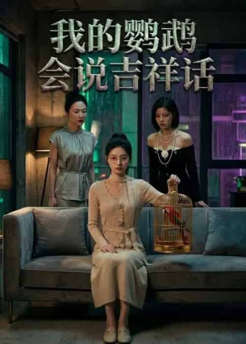 我的鹦鹉会说吉祥话（52集全）AI-紫橙资源网