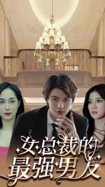 风雪满江红＆女总裁的上门女婿（104集）-紫橙资源网