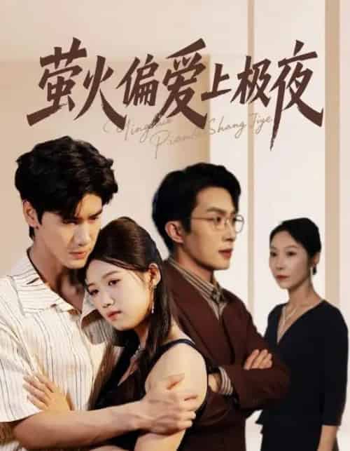 萤火偏爱上极夜（71集全）叶庭＆高洁慧-紫橙资源网