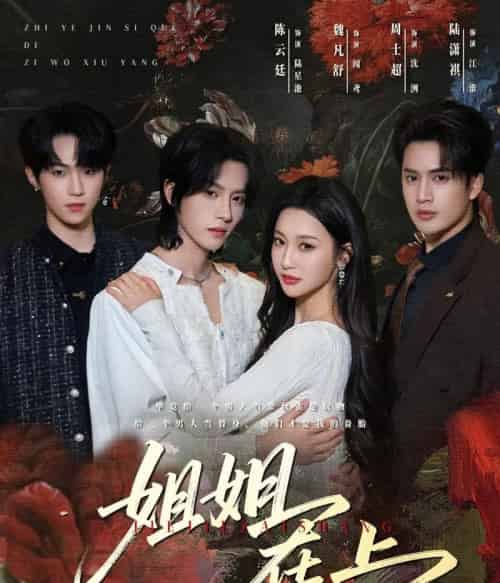 姐姐在上(65集全)陈云廷&魏凡舒-紫橙资源网