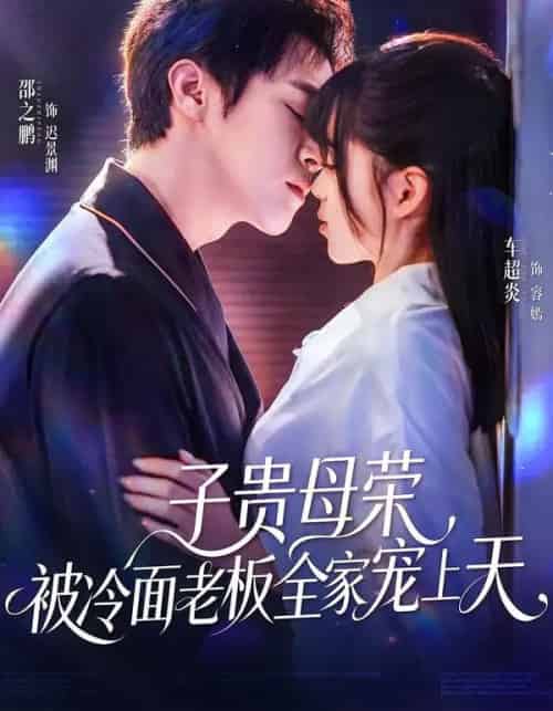子贵母荣被冷面老板全家宠上天（70集全）邵之鹏＆车超炎-紫橙资源网
