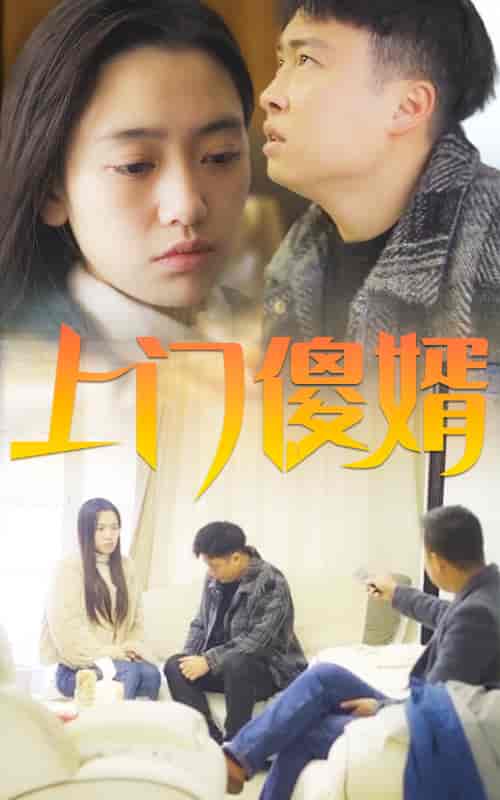 上门傻婿-164-紫橙资源网