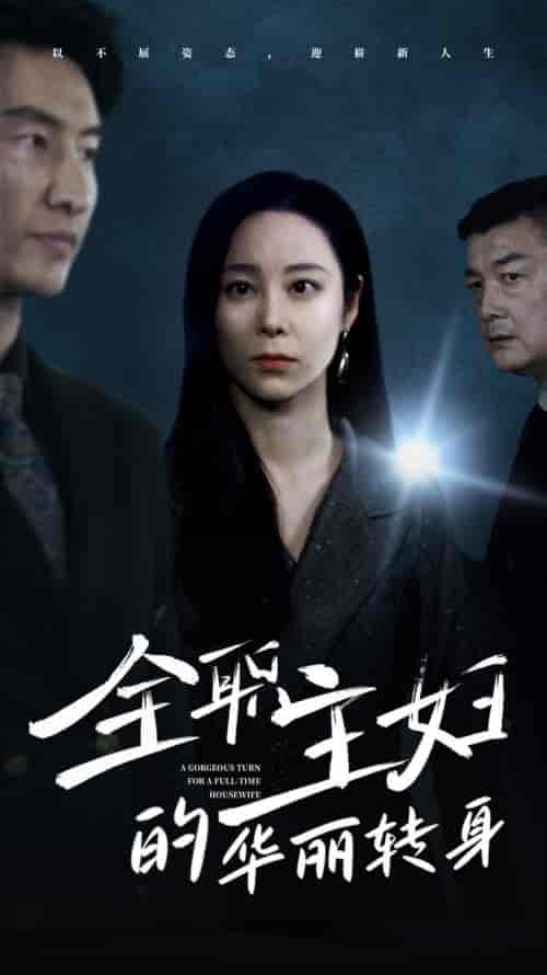 全职主妇的华丽转身（52集全）纪冷希-紫橙资源网