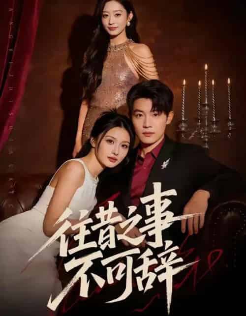 往昔之事不可辞（50集全）李少聪＆辛宁-紫橙资源网