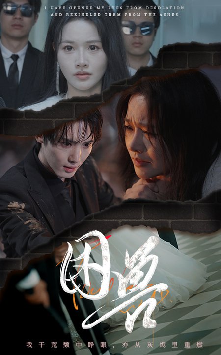 困兽（31集全）曹千祎-紫橙资源网