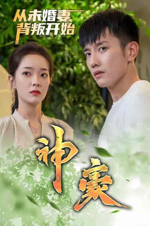 神豪从未婚妻背叛开始（99集）-紫橙资源网
