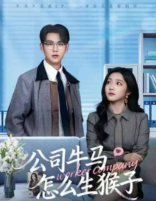 公司牛马怎么生猴子（80集全）阚梓艺＆孔德瑞-紫橙资源网