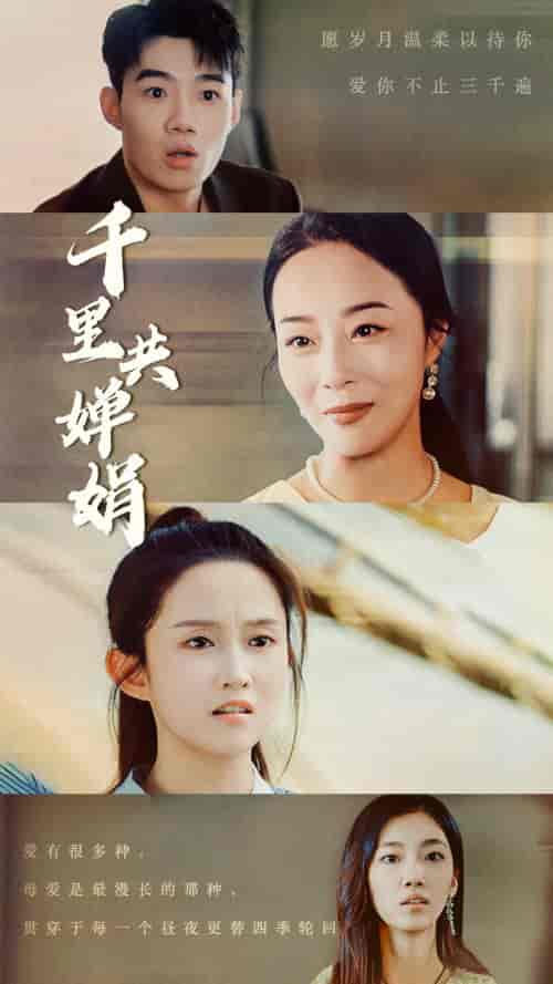 千里共婵娟（64集）-紫橙资源网