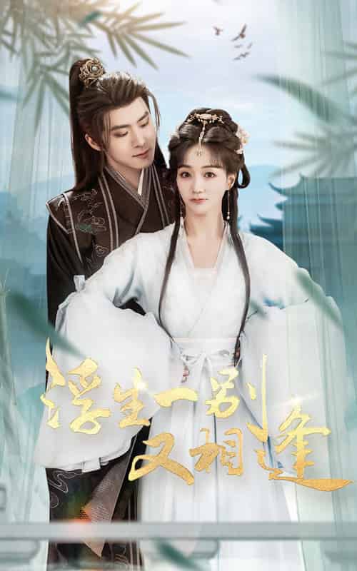 浮生一别又相逢（60集全）李俊良＆陈诗敏-紫橙资源网