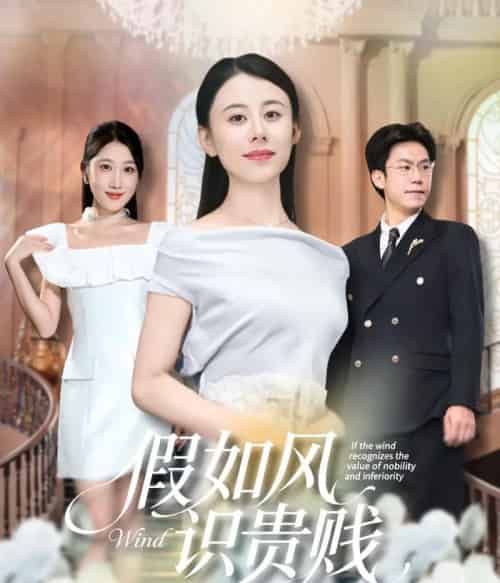 假如风识贵贱（58集全）徐香颖＆周华明-紫橙资源网