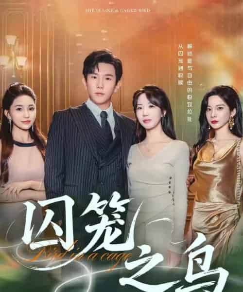 囚笼之鸟 囚笼之鸟