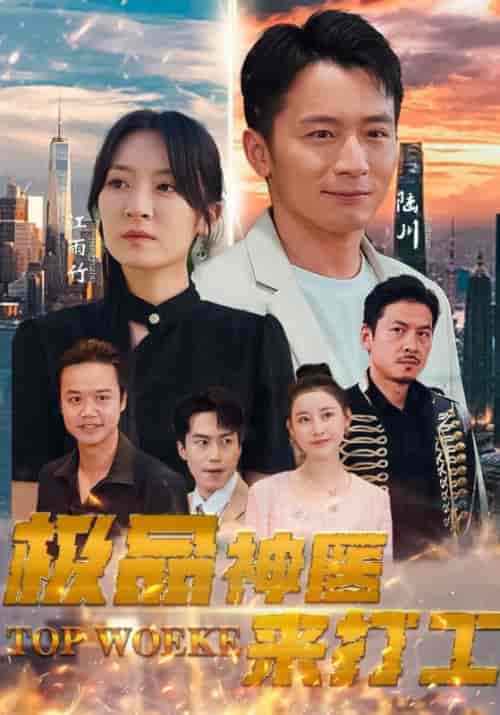 极品神医来打工（96集）-紫橙资源网