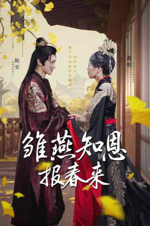 雏燕知恩报春来 雏燕知恩报春来