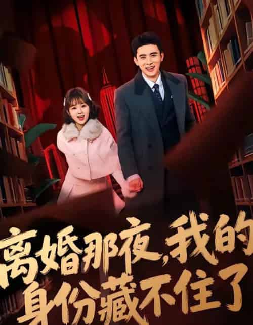 离婚那夜，我的身份藏不住了（66集全）姚晶乐＆刘渝展-紫橙资源网