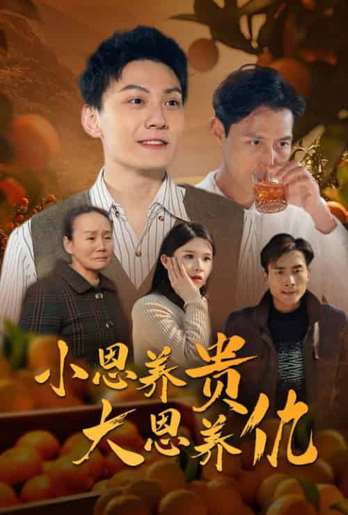 小恩养贵大恩养仇(34集全)王子青-紫橙资源网