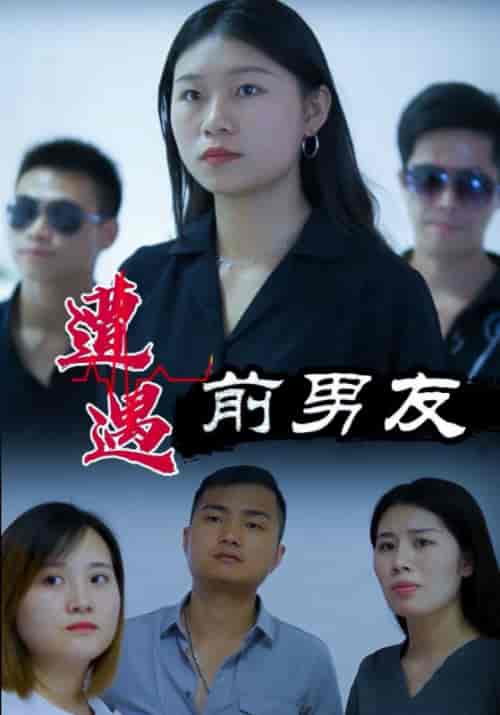 遭遇前男友（73集全）乔峰＆风铃-紫橙资源网