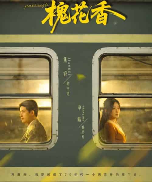 旧时光里槐花香(70集全)申晴&焦睿-紫橙资源网