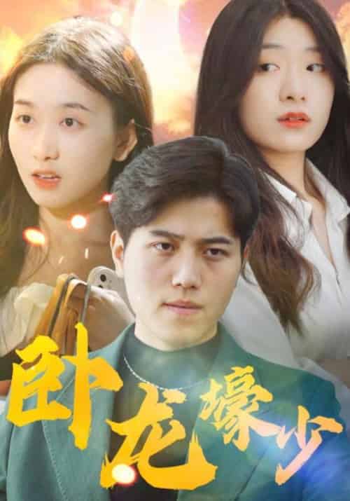 卧龙壕少（58集全）郑枫＆文雪-紫橙资源网