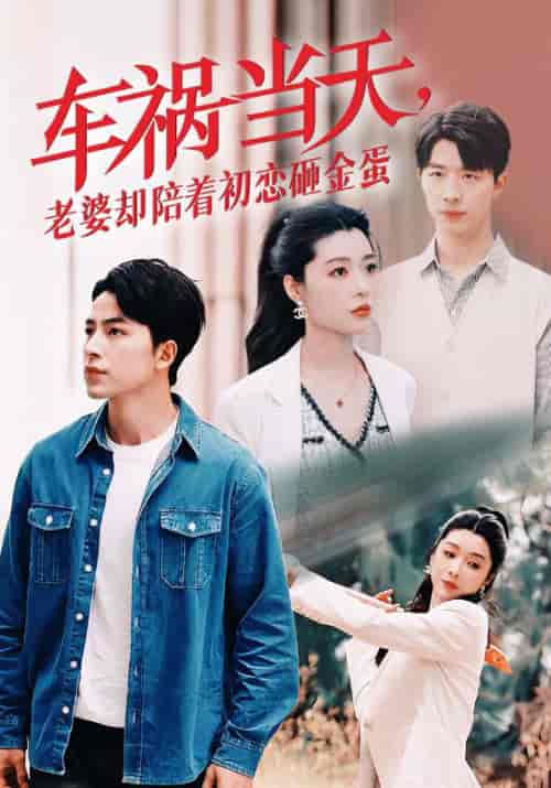 车祸当天老婆却陪着初恋砸金蛋（46集全）吴昊-紫橙资源网